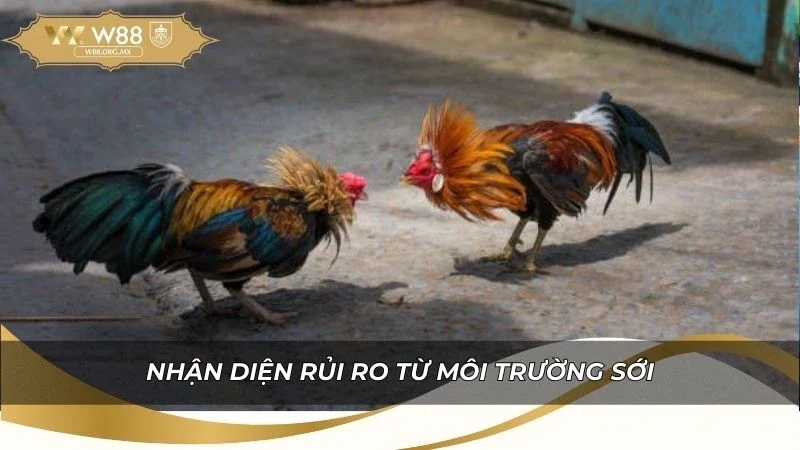 Lưu ý nhận diện rủi ro từ môi trường sới